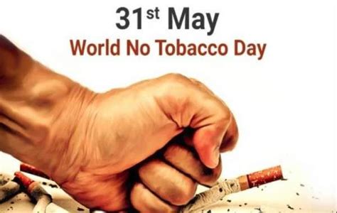 World No Tobacco Day quotes : Top 20 Quotes To Celebrate The Anti ...