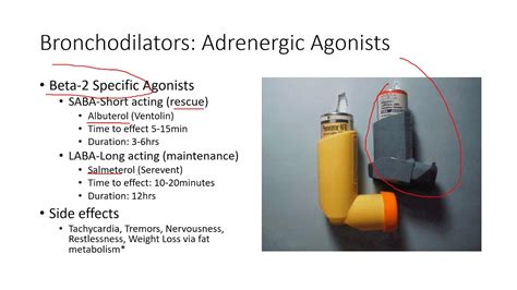 Pulmonary Pharmacology 2: Bronchodilators - YouTube