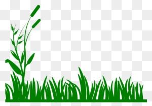 Sea Grass Clipart Grass Border - Grass Png - Free Transparent PNG ...