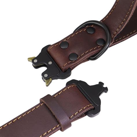 Draco Genuine Leather Dog Collar With Handle – Dog Nation