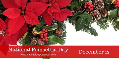 NATIONAL POINSETTIA DAY - December 12 | Poinsettia, December holidays ...