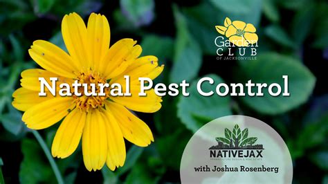 Natural Pest Control - Garden Club of Jacksonville