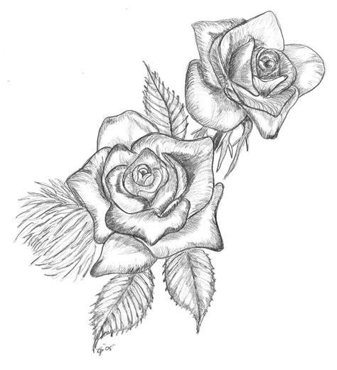 Drawings Of Roses - Cliparts.co