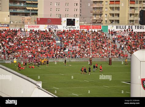 Toulon vs Pau rugby match at the Mayol Toulon stadium Stock Photo - Alamy