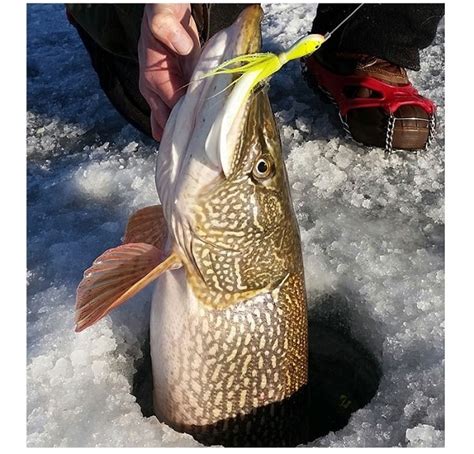 The Best Northern Pike Lures - How To Find The Right One?