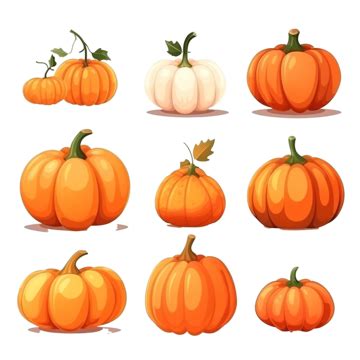 Cartoon Halloween Pumpkin Fall Traditional Orange Autumn Element Vector ...