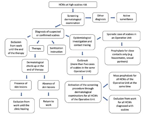 Prevention protocol for the management of scabies hospital outbreaks ...