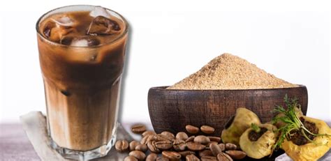 Maca Coffee Benefits & Side Effects That May Surprise You – Vinatura ...