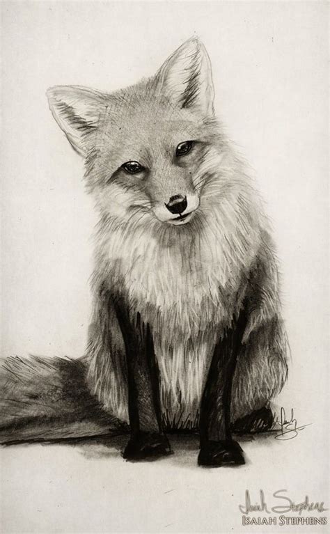 50+ Easy Pencil Drawings of Animals That Look So Realistic | Pencil ...