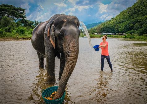 Best Ethical Elephant Sanctuaries in Thailand: Chiang Mai, Near Bangkok