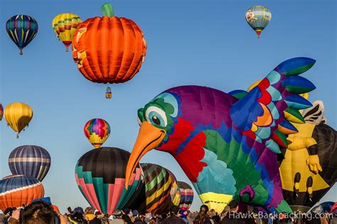 Special Shapes Rodeo, Albuquerque International Balloon Fiesta 2013 ...