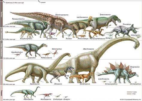 dinosaur - Classification of major groups | Britannica