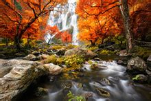 Autumn Creek And Waterfall Free Stock Photo - Public Domain Pictures