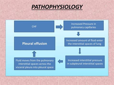 PPT - TRANSUDATIVE PLEURAL EFFUSION PowerPoint Presentation, free ...