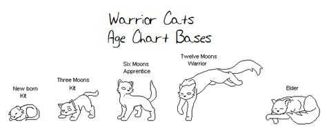 Image - Warrior Cats Age Chart Base.png | EE Lost Clans Wikia | Fandom ...