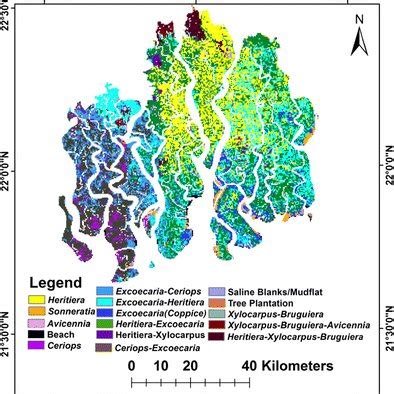 (PDF) Mangrove species distribution and water salinity: an indicator ...