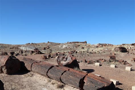 5 Best Day Hikes in Petrified Forest National Park - Trailhead Traveler