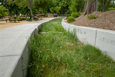 Bioretention Basin Design