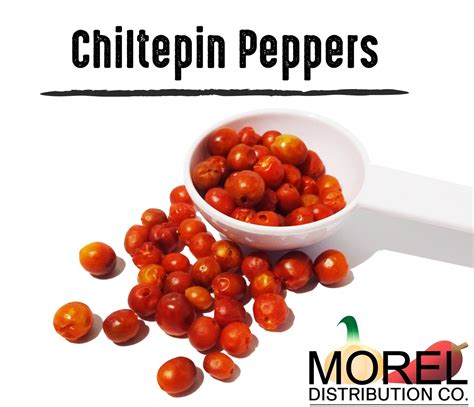 Chiltepin Pepper Seeds (Chilli Seeds) Weights: 0.5 oz, 1 oz, 2 oz, 4 oz ...