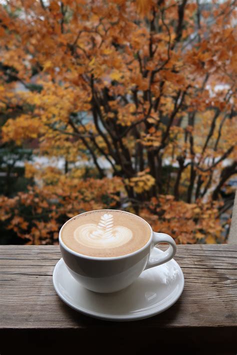 A Coffee cup of Autumn | by Nattawoot Sangmanee | Medium