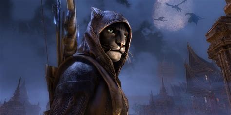 How Skyrim's Thalmor Tricked The Khajiit Into Fighting The Empire