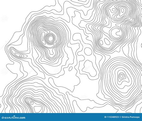 Topographic Map Lines Background. Vector Illustration. Contour Map ...