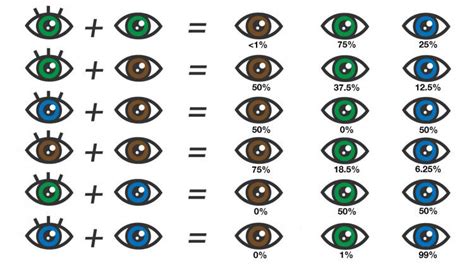 Eye Color Chart: What Color Eyes Will My Baby Have?