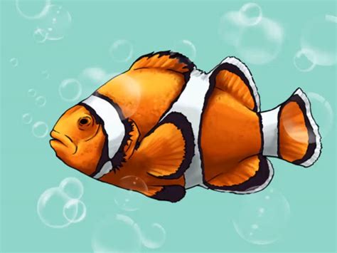 How to Draw a Clownfish: 9 Steps (with Pictures) - wikiHow