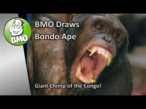 BMO Creative Crypto Video - Bondo Ape - YouTube