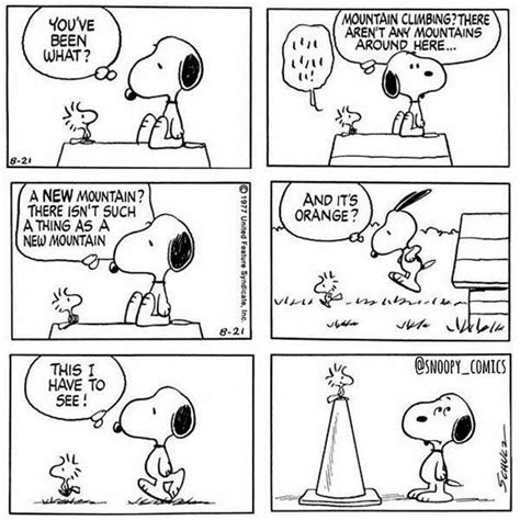 Snoopy and Woodstock | Snoopy comics, Snoopy funny, Snoopy pictures