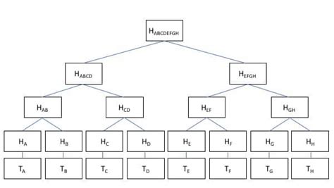 What is a Merkle Tree? Hashing and How Blockchain Verification Works