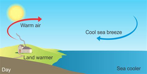 Please explain what is land breeze and sea breeze with a diagram - CBSE ...