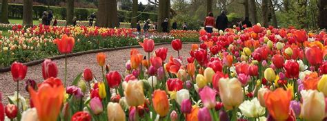 WalkEurope Holland & Belgium Tulip Time Garden Tour