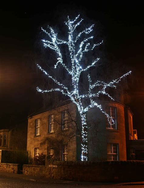 Top 15 of Hanging Lights in Outdoor Trees