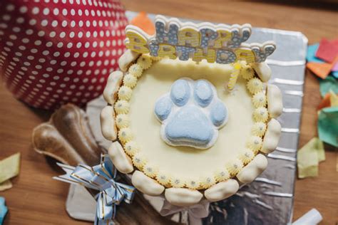 Dog Bone Birthday Cake