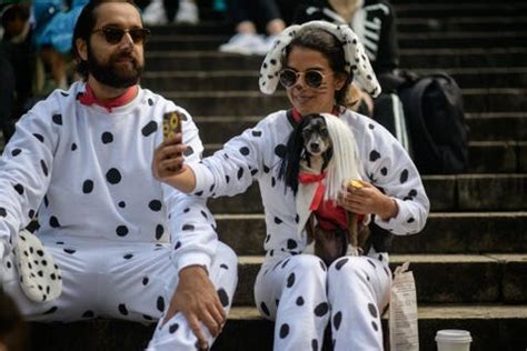 24 Best Matching Dog and Owner Halloween Costume Ideas for 2022