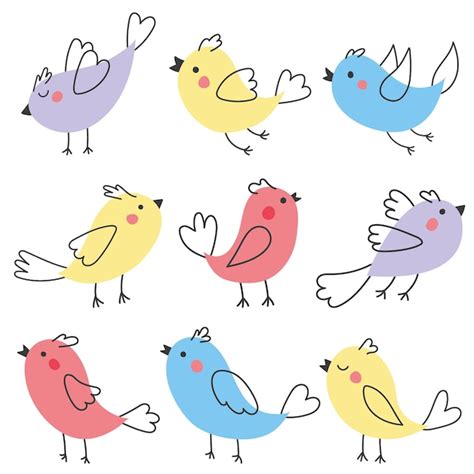 Premium Vector | A collection of colorful birds with different colors.