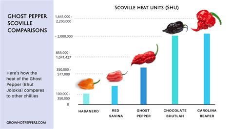 Ghost Pepper Plant Scoville, Colors and [Updated] Grow Guide