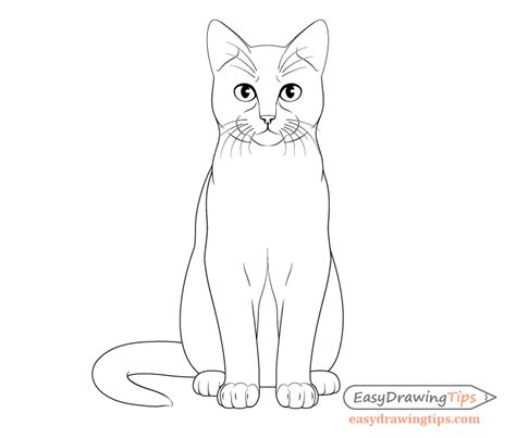 How to Draw a Cat Step by Step From Front View - EasyDrawingTips | Cat ...