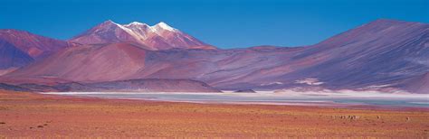 Atacama Desert | Location, Weather, & Facts | Britannica