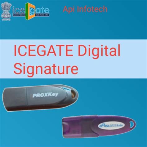 ICEGATE DIGITAL SIGNATURE | Class 3 DSC for Customs