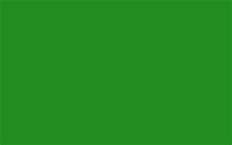 Forest Green Background (52+ pictures) - WallpaperSet