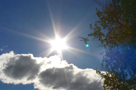 Sun in Blue Sky with Cloud and Tree – Photos Public Domain