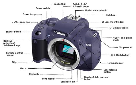 This Cutaway Diagram Shows The Inside Of A DSLR | ePHOTOzine