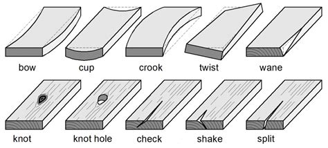 Lumber Warpage and Other Defects – ToolNotes