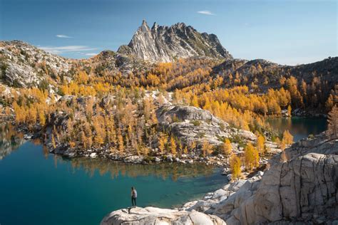 The Best Golden Larch Hiking Trails In Washington State - Jess Wandering