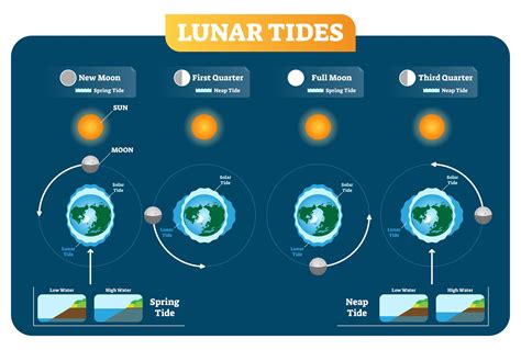 What Is A Spring Tide In Science