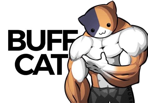 Buff Cat Skin Design : FortNiteBR