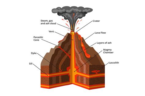 Vector infographic illustration. Cross section of volcano By ONYX ...