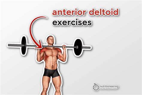 23 Anterior Deltoid Exercises for Shoulder Size & Strength